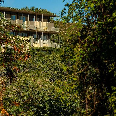 Theoxenia Hotel Andritsaina Exterior foto